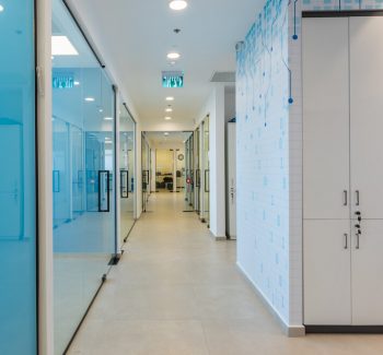 The Cyber Foundation